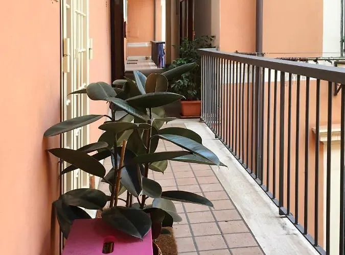 公寓 Gli Alberi A Testaccio *